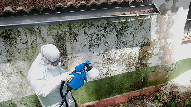 Top rated local Mold Cleanup specialists in Oradell, NJ